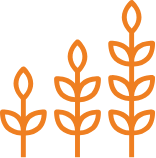 Leren, groeien en ontwikkelen in je eigen tempo staat bij ons centraal